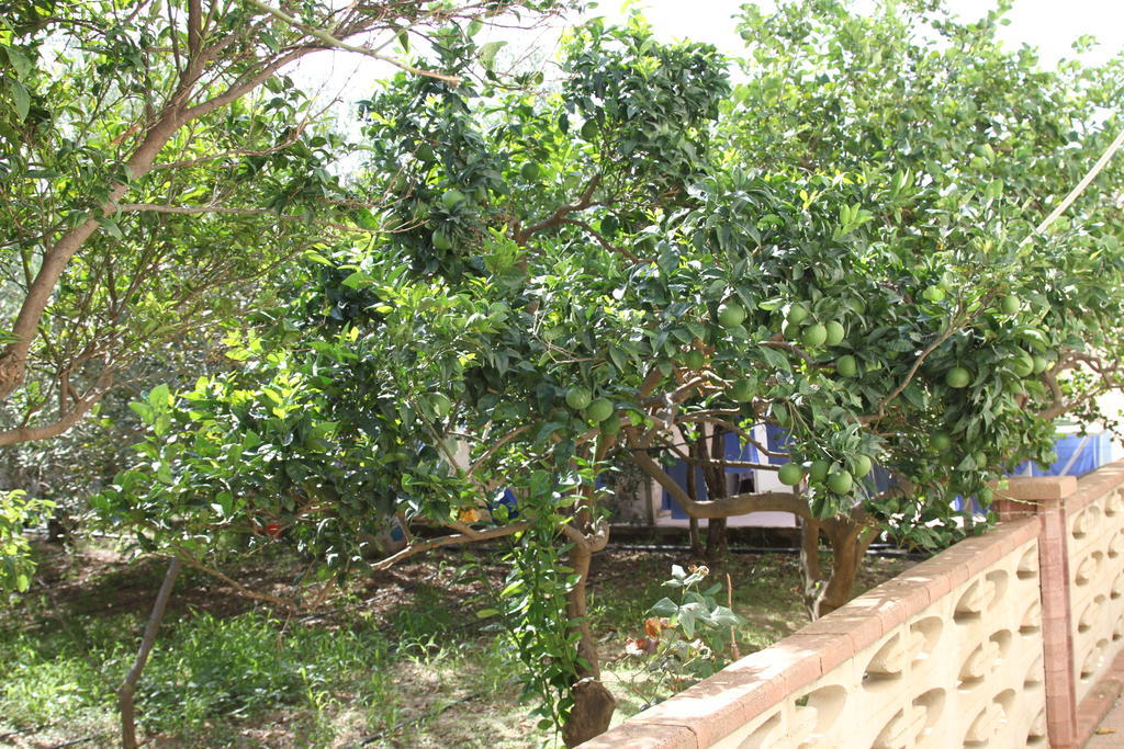 B&B Giarrizzo Licata Esterno foto